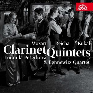 Quintet for Clarinet and String Quartet in B flat major, Op. 89: II. Andante