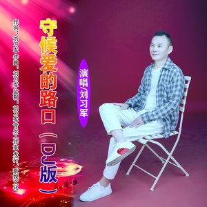 守候爱的路口 (DJ版)