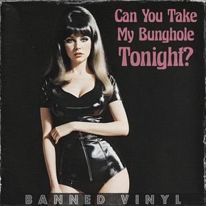 Can You Take My Bunghole Tonight?