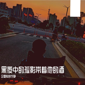 黑夜中的孤影带着他的酒