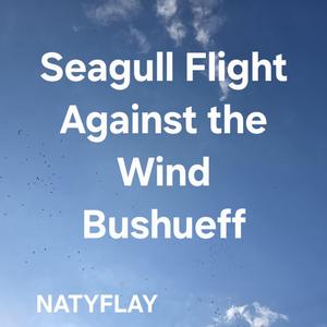 Seagull Flight Against the Wind (Bushueff)