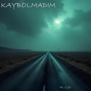 Kaybolmadim