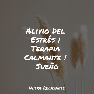 Caminando Contigo