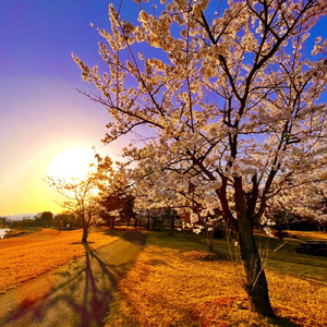 笑えるその日まで