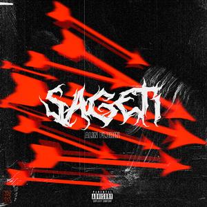 Sageti