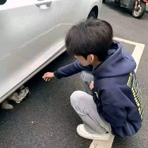 一封未寄出的家书