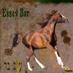 על הנזק שבעישון (אינסטרומנטלי)