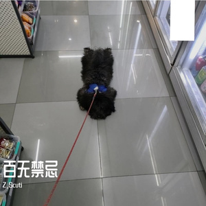 伤（prod by KeKeBow&binomadethebeat&producedbydraka）