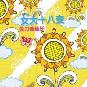 女大十八变（DJ阿卓）