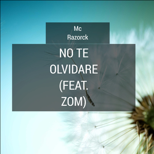 No Te Olvidare (feat. Zom)