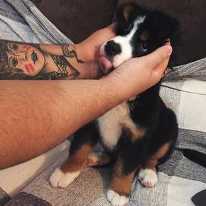 Nopessi的年终总结