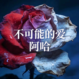不可能的爱