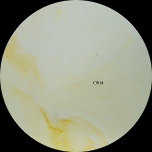 Ithaka (Original Mix)