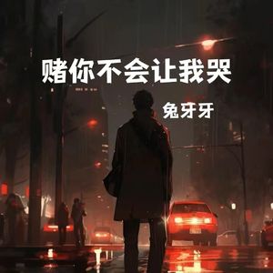 赌你不会让我哭