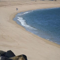 温柔,谎言,习惯