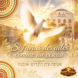 Des ailes comme un oiseau