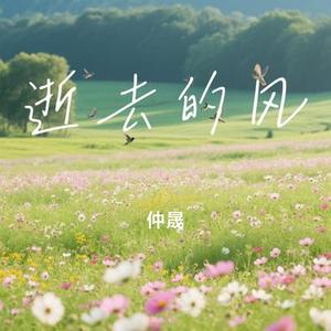 城市光影