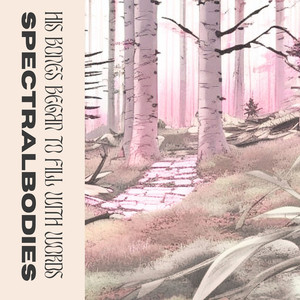 He Scaled The Mountain Of God And Found A Teardrop