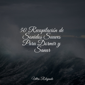 Sonidos De Equilibrio