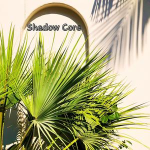 Shadow Core (feat. Larkin Frost)