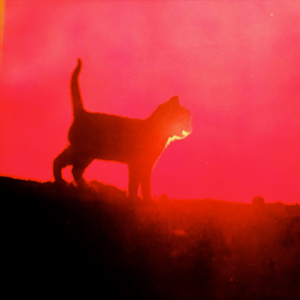 Just Like Moscow Winter