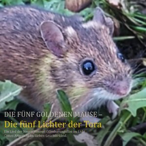 Die Fünf Goldenen Mäuse Die Fünf Lichter Der Tora Ein Lied Der Neuen Himmel Offenbarungsfilm Im Licht Gottes Angesicht Im Sieben-Leuchterkleid.