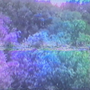 sɹnoʎ ʎlǝɹǝɔuᴉs