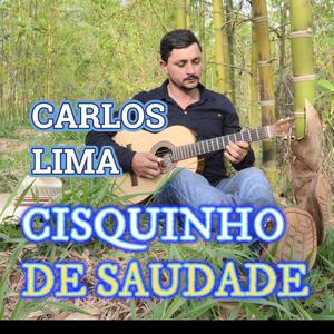 CONFESSO QUE ATÉ CHOREI