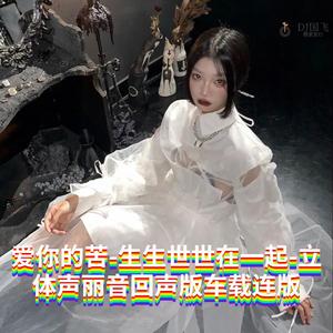 DJ国飞-爱你的苦-生生世世在一起-立体声丽音回声版车载连版（DJ国飞 remix）