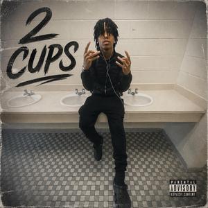 2 Fa Cup