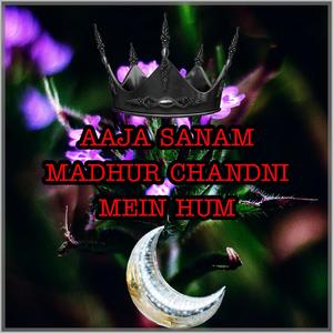 Aaja Sanam Madhur Chandni Mein Hum