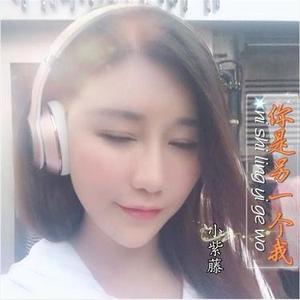 你是另一个我