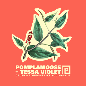 Crush + Someone Like You Mashup