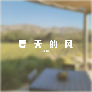 夏天的风