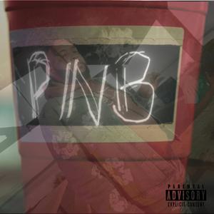 PnB