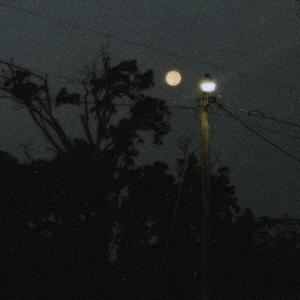 benzo fury (eclipse)