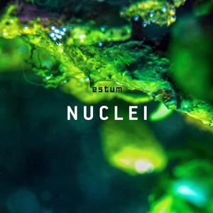 Nuclei