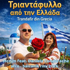 Τριαντάφυλλο από την Ελλάδα (Trandafir din Grecia)