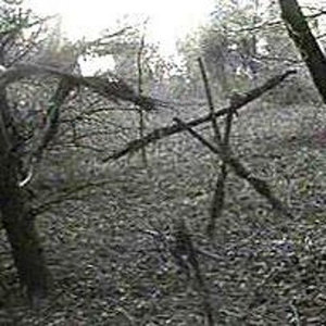 Pull Up (Prod. Eric North