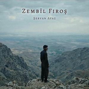 Zembîl Firoş