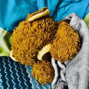 Cilantro (Instrumental)