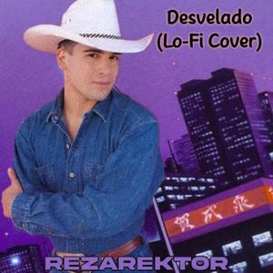 Desvelado (Lo-Fi Cover)