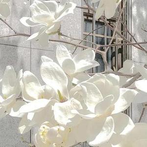 一半疯了一半算了