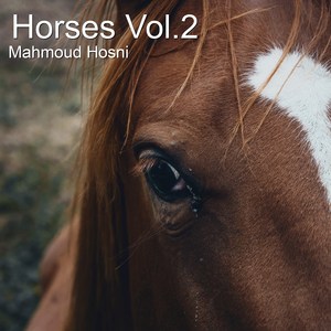 Horses Vol.2