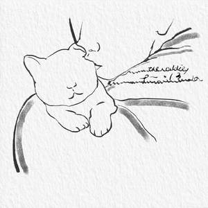 谁捡到了我的五百块钱