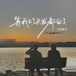 等我们头发都白了