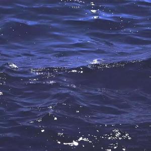 白月光与朱砂痣【抖音女版】（原唱:大籽）