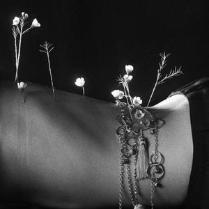 蔷薇血（prod by roccky）