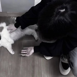 不再想着和你有以后