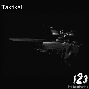 Taktikal